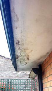 rusty gutter roof leak