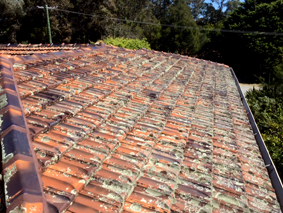 Roof restoration perth
